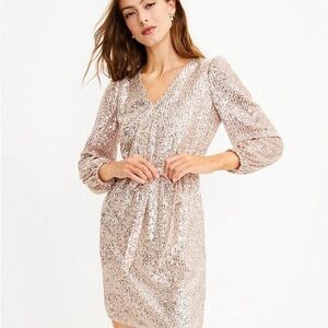 Champagne Sequin Dress